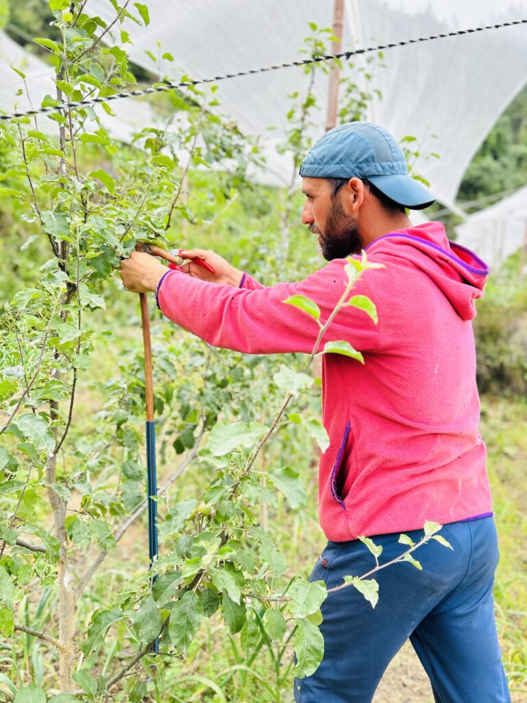 Dedicated farmer tending to crops in Sarni, Uttarakhand, promoting sustainable agriculture and organic farming practices