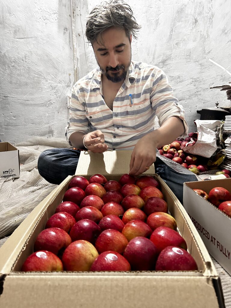 Ravinder Chauhan packing freshly harvested apples in delivery boxes, ensuring quality and freshness for Valley to Belly customers